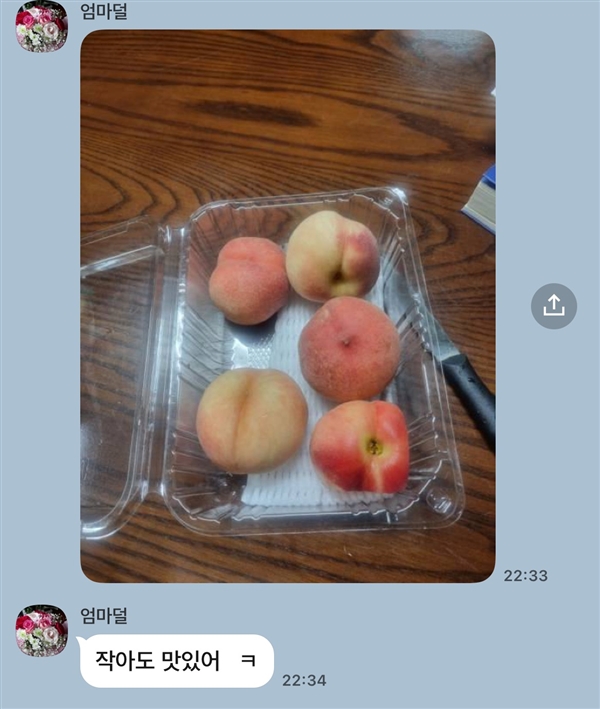 20250806103618050_IMG_2649.jpeg